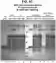 Fig. 12 - Antigen delivery platforms