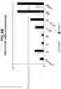 Fig. 19 - Antigen delivery platforms