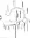 Fig. 22 - Antigen delivery platforms