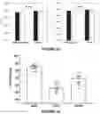 Fig. 13 - Chimeric receptor binding proteins resistant to proteolytic degradation