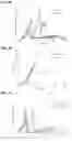 Fig. 05 - Means and Methods to Overrule Glucose-Mediated Repression of Respiration in Yeast
