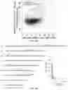 Fig. 24 - UNIQUE APHID POLYPEPTIDES FOR USE IN MODIFYING CELLS