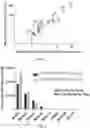 Fig. 03 - Silk nucleotides and proteins and methods of use