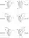 Fig. 36 - DUAL IL-2R AND IL-7R BINDING COMPOUNDS