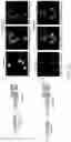 Fig. 22 - SYNTHETIC MOLECULAR FEEDBACK CIRCUITS AND METHODS OF USING THE SAME