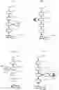Fig. 02 - CAGED-DEGRON-BASED MOLECULAR FEEDBACK CIRCUITS AND METHODS OF USING THE SAME