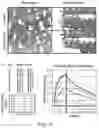 Fig. 06 - CAGED-DEGRON-BASED MOLECULAR FEEDBACK CIRCUITS AND METHODS OF USING THE SAME