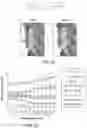 Fig. 21 - CAGED-DEGRON-BASED MOLECULAR FEEDBACK CIRCUITS AND METHODS OF USING THE SAME