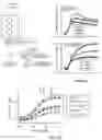 Fig. 26 - CAGED-DEGRON-BASED MOLECULAR FEEDBACK CIRCUITS AND METHODS OF USING THE SAME
