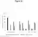 Fig. 11 - AMYLOID PEPTIDE VARIANTS