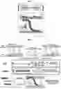 Fig. 02 - METHODS AND COMPOSITIONS FOR RAPIDLY REPLACING CARDIAC MYOSIN BINDING PROTEIN-C IN SARCOMERES