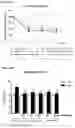 Fig. 16 - Acylated oxyntomodulin peptide analog