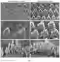 Fig. 08 - Recombinant adeno associated virus encoding clarin-1 and uses thereof