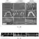 Fig. 20 - Recombinant adeno associated virus encoding clarin-1 and uses thereof