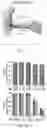 Fig. 25 - Recombinant adeno associated virus encoding clarin-1 and uses thereof