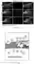 Fig. 27 - Recombinant adeno associated virus encoding clarin-1 and uses thereof