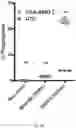 Fig. 08 - Activation of Antigen Presenting Cells and Methods for Using the Same