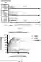 Fig. 12 - Activation of Antigen Presenting Cells and Methods for Using the Same