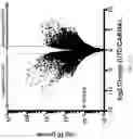 Fig. 19 - Activation of Antigen Presenting Cells and Methods for Using the Same