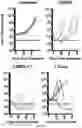 Fig. 22 - Activation of Antigen Presenting Cells and Methods for Using the Same
