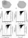 Fig. 25 - Activation of Antigen Presenting Cells and Methods for Using the Same