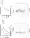 Fig. 28 - Activation of Antigen Presenting Cells and Methods for Using the Same