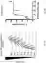 Fig. 30 - Activation of Antigen Presenting Cells and Methods for Using the Same