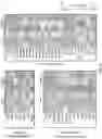 Fig. 31 - Activation of Antigen Presenting Cells and Methods for Using the Same