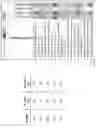 Fig. 39 - Activation of Antigen Presenting Cells and Methods for Using the Same