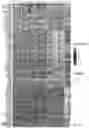 Fig. 49 - Activation of Antigen Presenting Cells and Methods for Using the Same