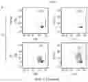 Fig. 04 - TCR AND PEPTIDES