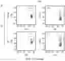 Fig. 06 - TCR AND PEPTIDES