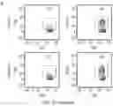 Fig. 08 - TCR AND PEPTIDES