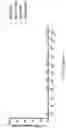 Fig. 09 - TCR AND PEPTIDES