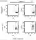 Fig. 18 - TCR AND PEPTIDES