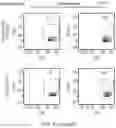 Fig. 20 - TCR AND PEPTIDES