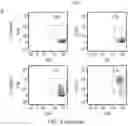 Fig. 21 - TCR AND PEPTIDES