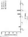 Fig. 23 - TCR AND PEPTIDES
