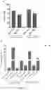 Fig. 33 - TCR AND PEPTIDES
