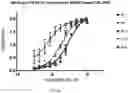 Fig. 14 - RAGE fusion proteins with improved stability and ligand binding affinity and uses thereof