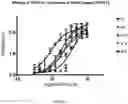 Fig. 17 - RAGE fusion proteins with improved stability and ligand binding affinity and uses thereof