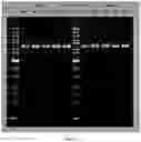 Fig. 18 - RAGE fusion proteins with improved stability and ligand binding affinity and uses thereof