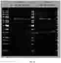 Fig. 24 - RAGE fusion proteins with improved stability and ligand binding affinity and uses thereof