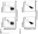 Fig. 29 - NOVEL PEPTIDES AND COMBINATION OF PEPTIDES FOR USE IN IMMUNOTHERAPY AGAINST ESOPHAGEAL CANCER AND OTHER CANCERS