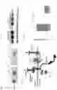 Fig. 02 - COMPOSITIONS AND METHODS FOR TREATING MUSCULAR DYSTROPHY AND RELATED DISORDERS