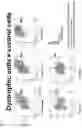 Fig. 03 - COMPOSITIONS AND METHODS FOR TREATING MUSCULAR DYSTROPHY AND RELATED DISORDERS