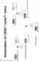 Fig. 05 - COMPOSITIONS AND METHODS FOR TREATING MUSCULAR DYSTROPHY AND RELATED DISORDERS