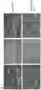 Fig. 11 - COMPOSITIONS AND METHODS FOR TREATING MUSCULAR DYSTROPHY AND RELATED DISORDERS