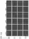 Fig. 26 - MODULATORS OF CELL SURFACE PROTEIN INTERACTIONS AND METHODS AND COMPOSITIONS RELATED TO SAME