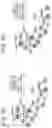 Fig. 29 - MODULATORS OF CELL SURFACE PROTEIN INTERACTIONS AND METHODS AND COMPOSITIONS RELATED TO SAME
